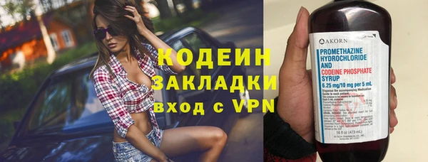 крисы Елабуга