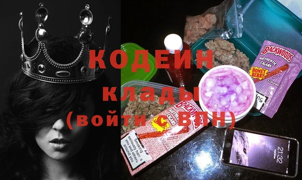 сатива Елизово