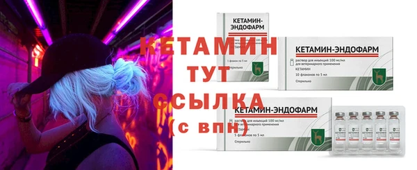 крисы Елабуга