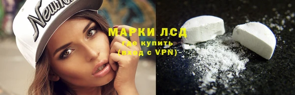 крисы Елабуга