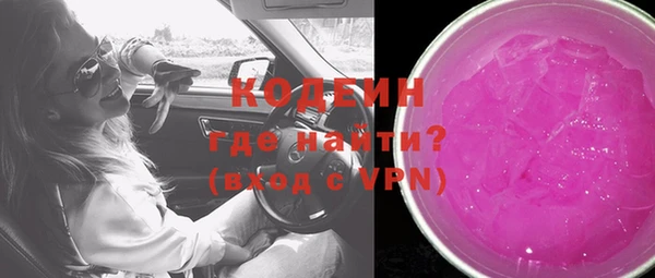 крисы Елабуга