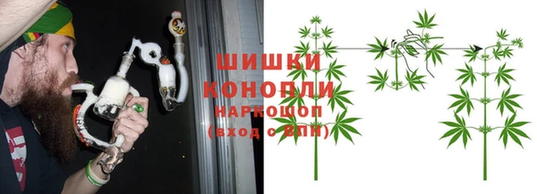 крисы Елабуга