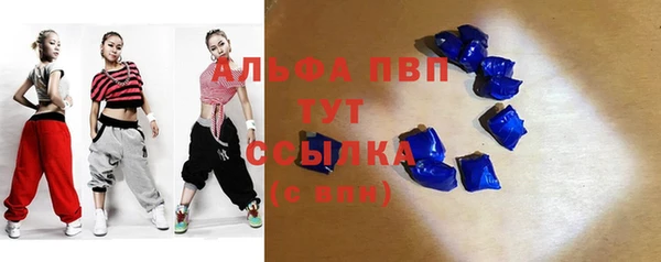 сатива Елизово