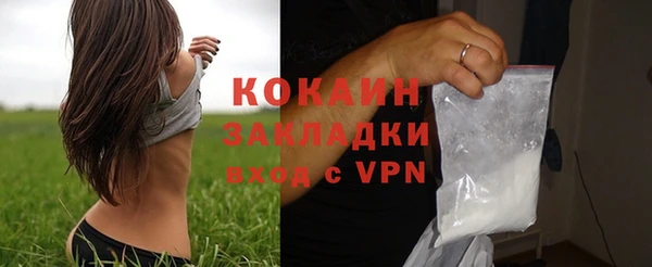 сатива Елизово