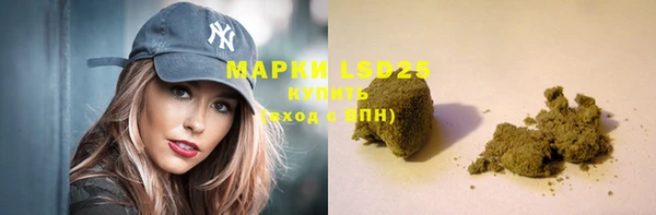 крисы Елабуга