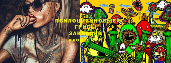 ешки Ельня