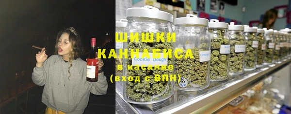 сатива Елизово