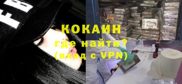 ешки Ельня