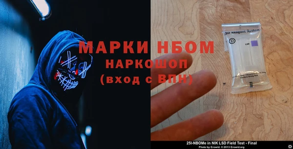 сатива Елизово
